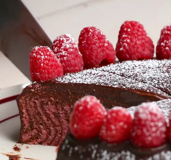  Chocolate Raspberry Zebra Cake