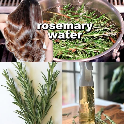  ROSEMARY WATER FOR HAIR GROWTH | DIY Rosemary Water Recipe