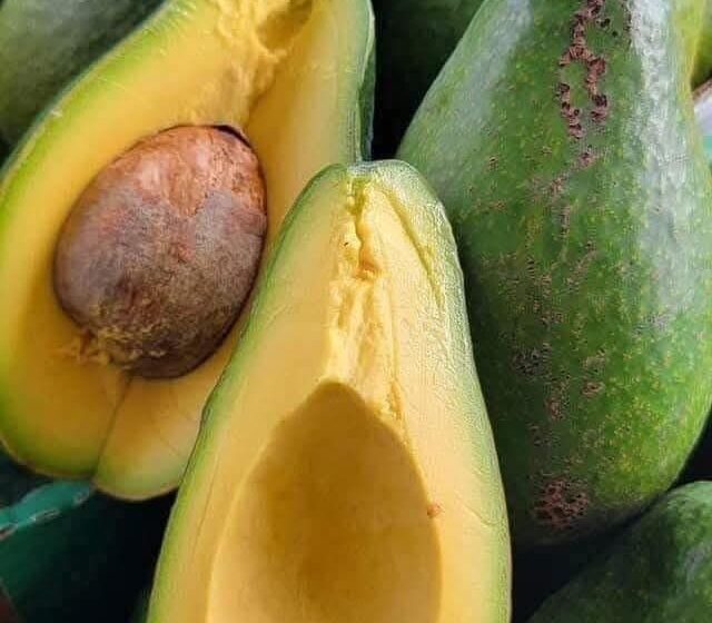  Doctors reveal that avocado consumption causes… see more