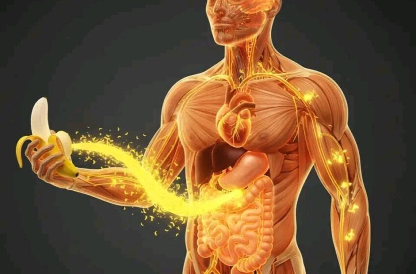  Did you know that eating bananas increases… See more