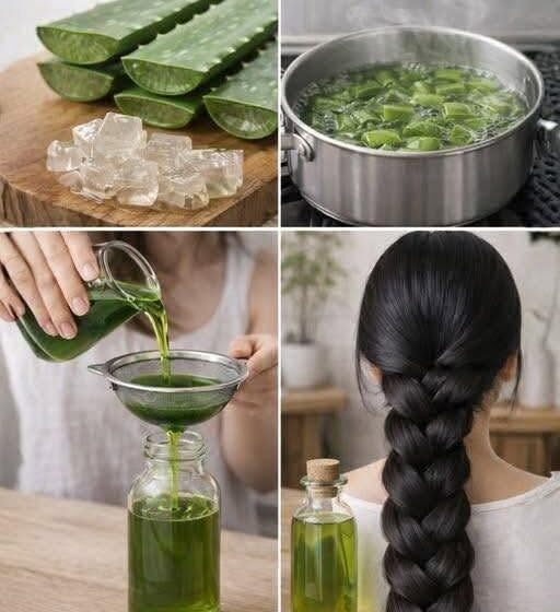  How to make aloe vera oil for faster hair growth and to stop hair loss… To continue receiving my recipes, just say something… Thank you!