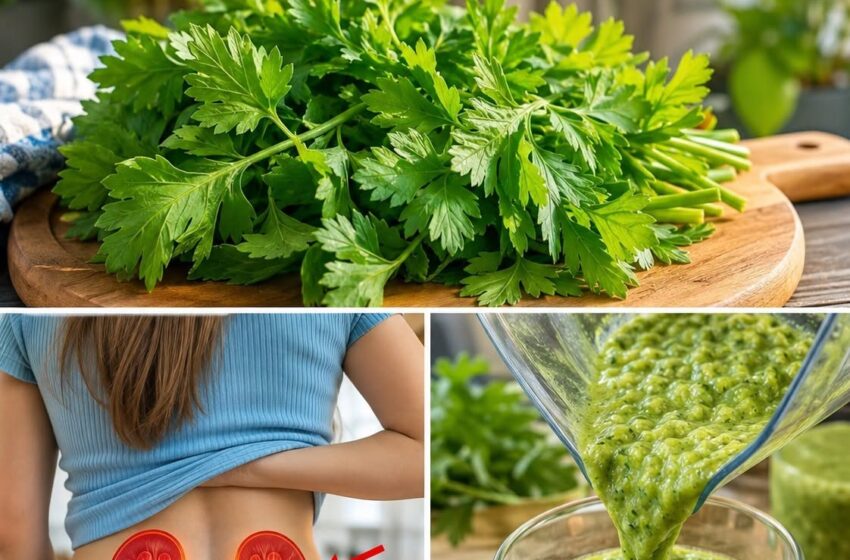  Top 5 Vegetables to Lower Creatinine & Improve GFR