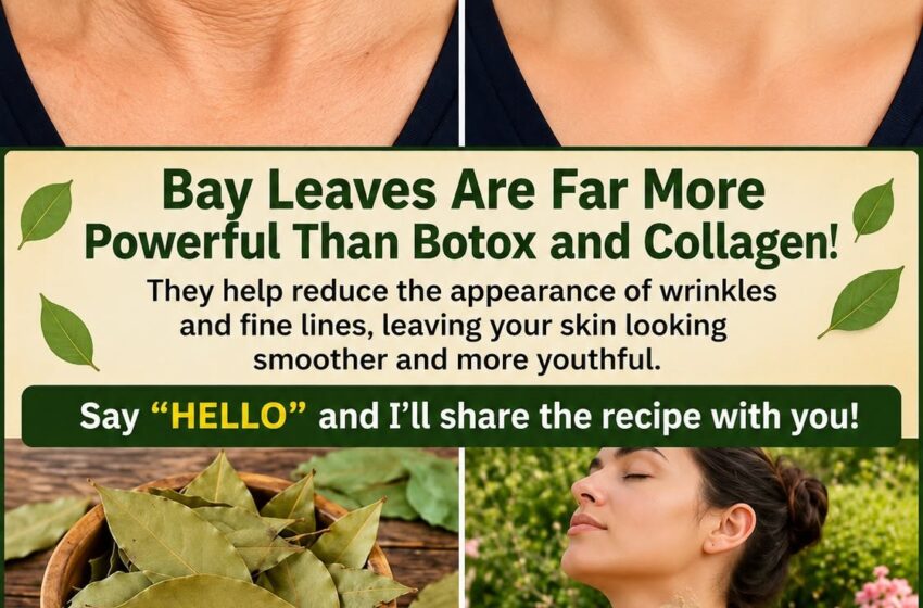  ¡Laurel leaves are much more powerful than botox and collagen! They remove all wrinkles and expression lines. I need you to say something so that you keep getting my prescriptions🙏