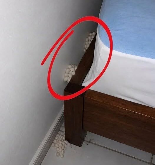  I arrived home exhausted, hoping for a quiet night, but one detail made me realize that something was wrong.