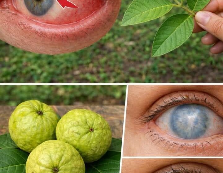  Guava: Nature’s Superfruit for Sharper Vision and Eye Comfort