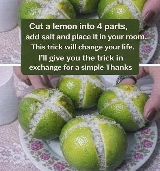 Lemon Salt Room Freshener Bowl