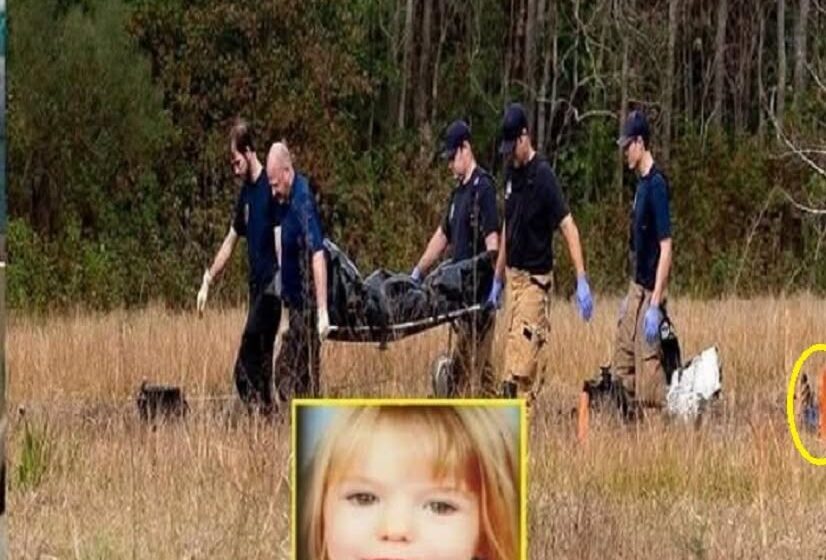  Missing girl found in the woods, her mother was the one who…𝗦𝗲𝗲 𝗺𝗼𝗿𝗲