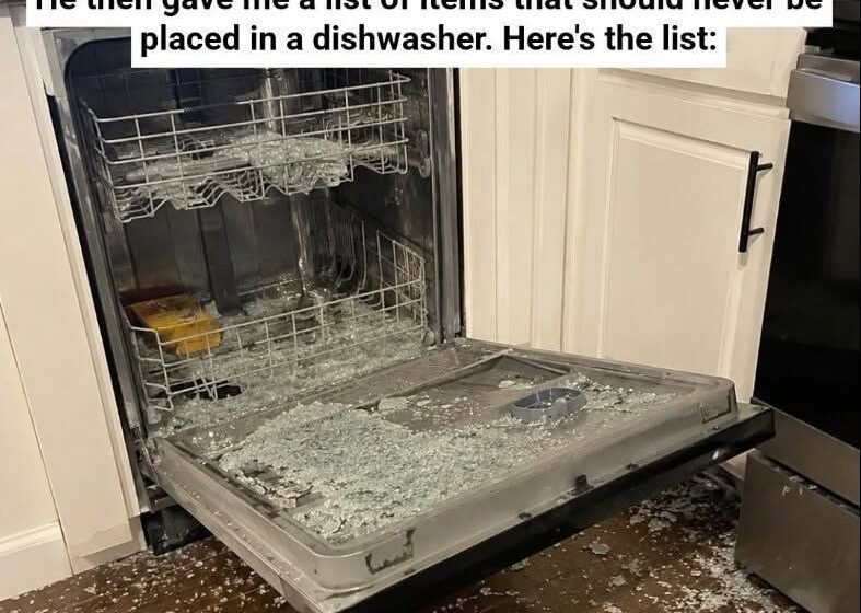  8 Things You Absolutely Should Not Put in a Dishwasher (And Why)